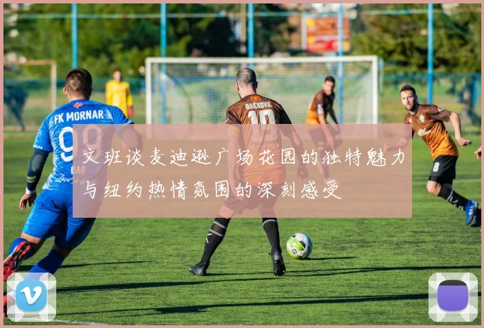 文班谈麦迪逊广场花园的独特魅力与纽约热情氛围的深刻感受