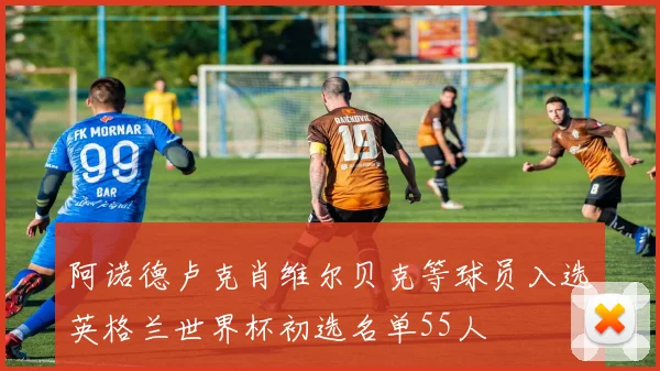 阿诺德卢克肖维尔贝克等球员入选英格兰世界杯初选名单55人