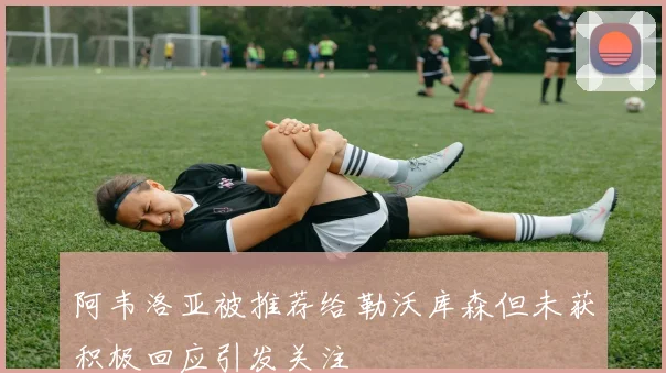 阿韦洛亚被推荐给勒沃库森但未获积极回应引发关注