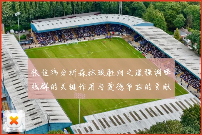 张佳玮分析森林狼胜利之道强调锋线群的关键作用与爱德华兹的贡献